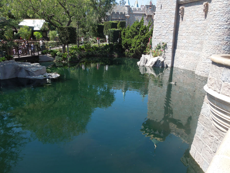 Disneyland Castle Picture